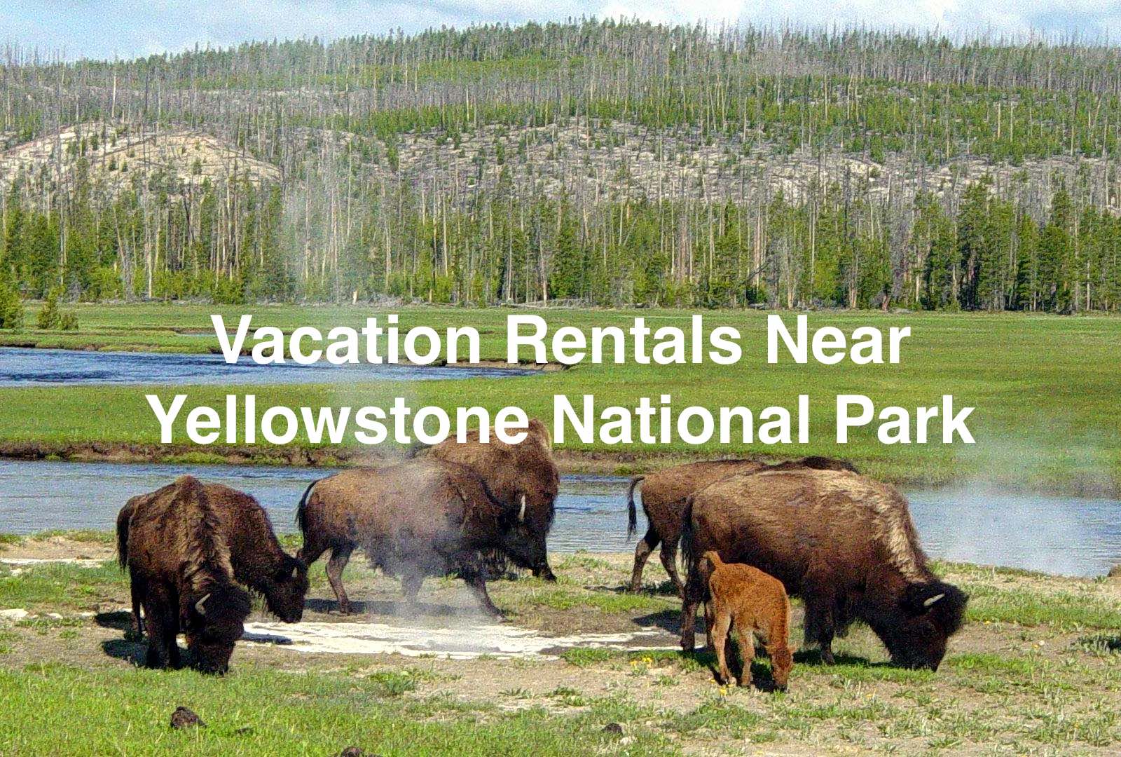 Yellowstone Cabin Rentals